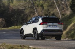 Toyota RAV4, rear action